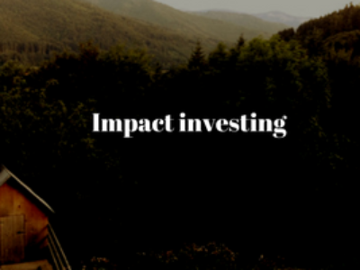 Impact investing che cos’è?